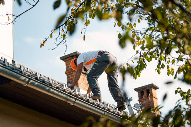 Best Flat Roof Repair Services  in Dearborn Heights, MI